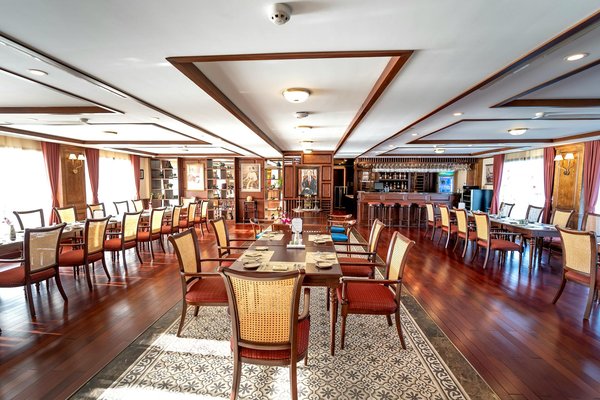 Vin bio en ligne : les crus engagés qui séduisent les palais