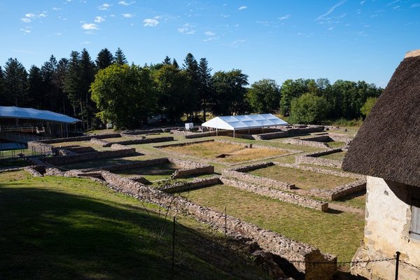 5 recettes minceur pour un dîner léger